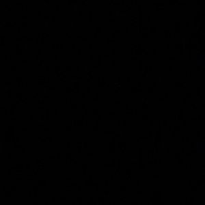 Meet your Posher, Abbi